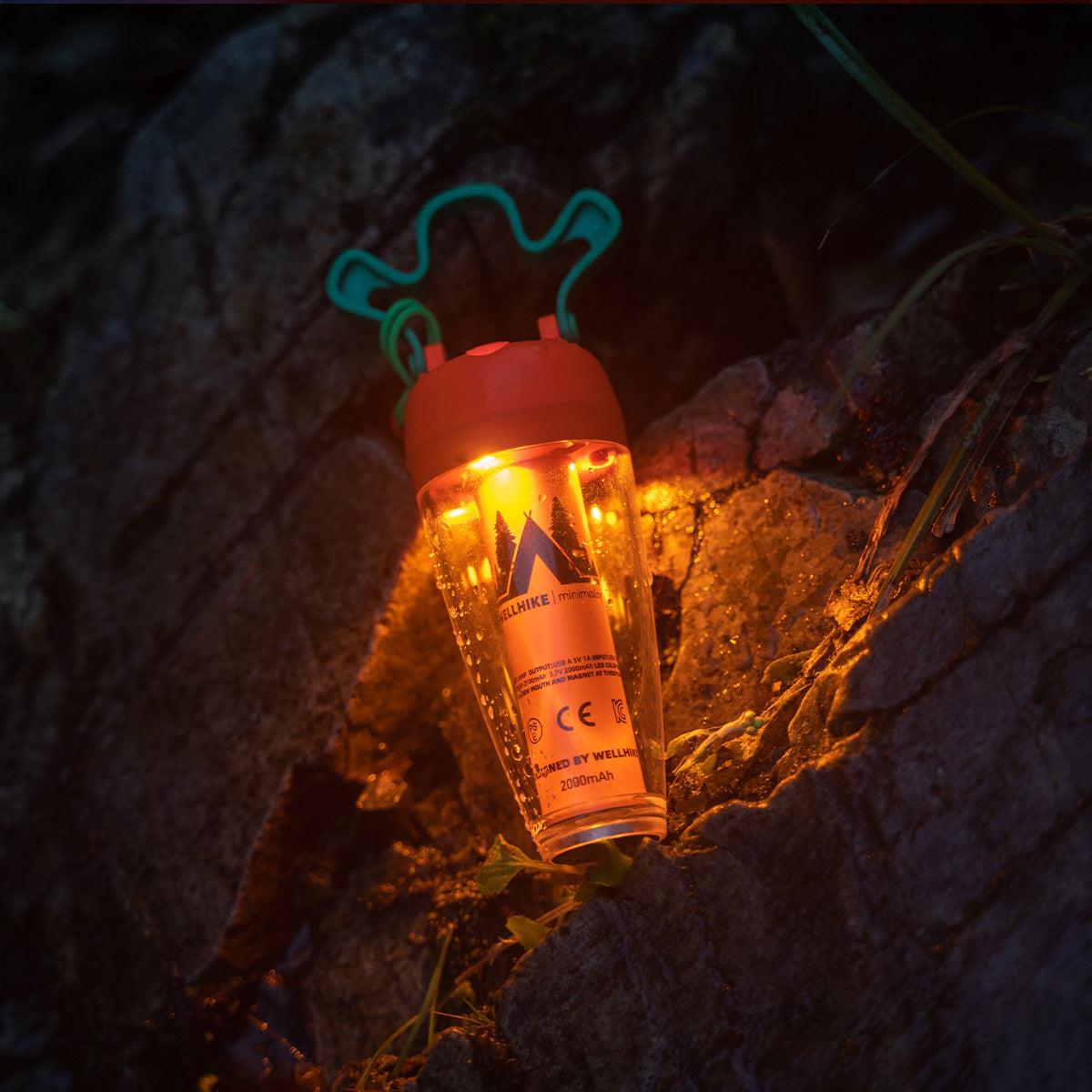 Radish Lamp Tent Light